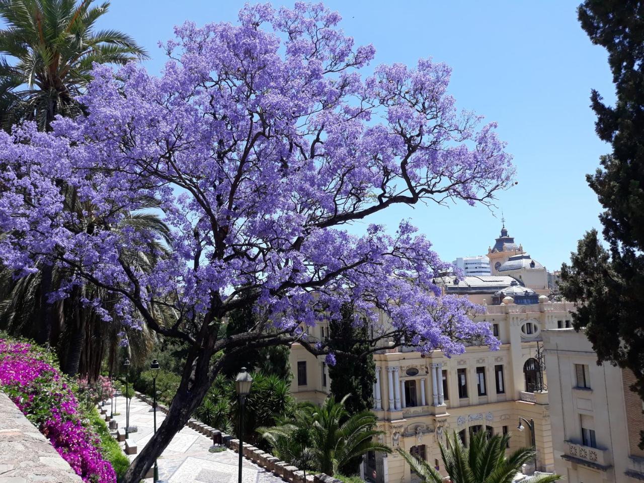 Stay Home & Away In The Heart Of Historical Town Of Малага Екстериор снимка
